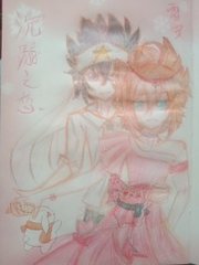 深入了解 蓝导航小鸟导航